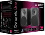 Woxter Dynamic Line DL-410 BT 150W Negro